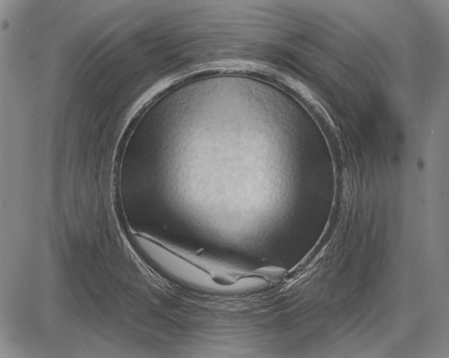 X0000083611229200703051535