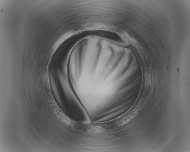 X0000083611230200703051535