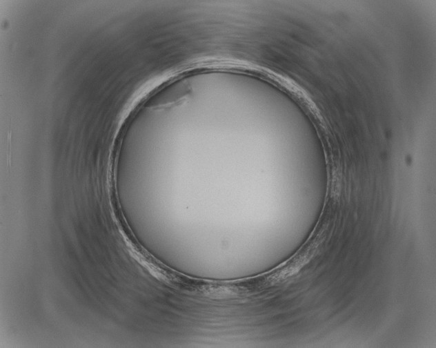 X0000083611231200703051535