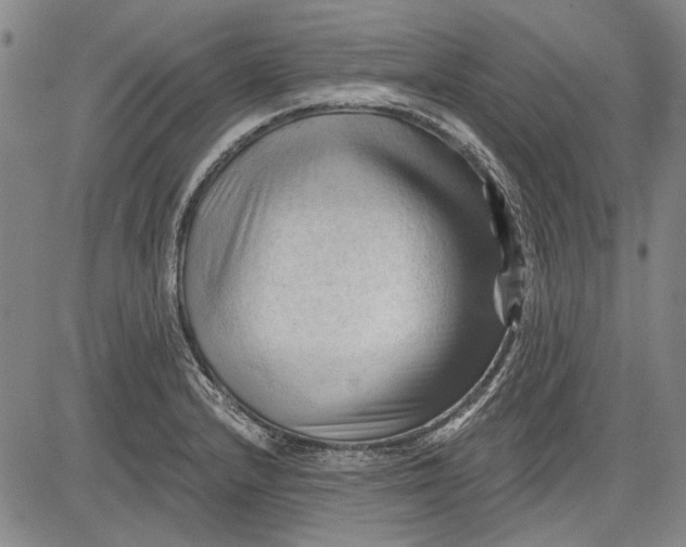 X0000083611232200703051535