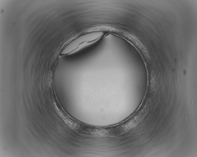 X0000083611233200703051535