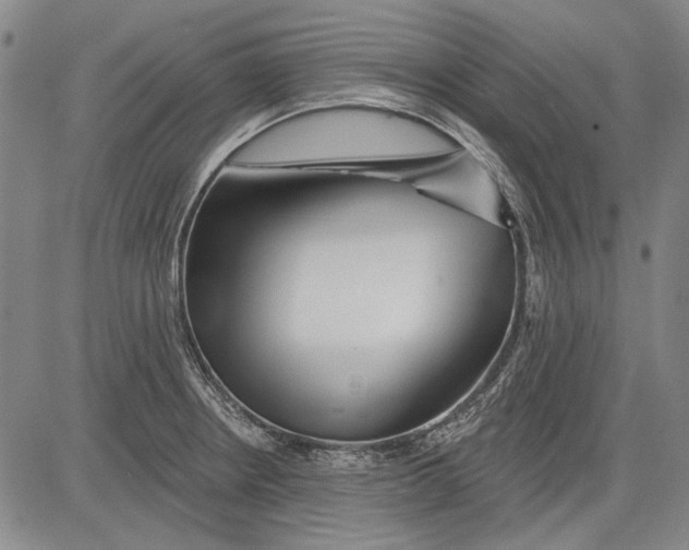 X0000083611234200703051535