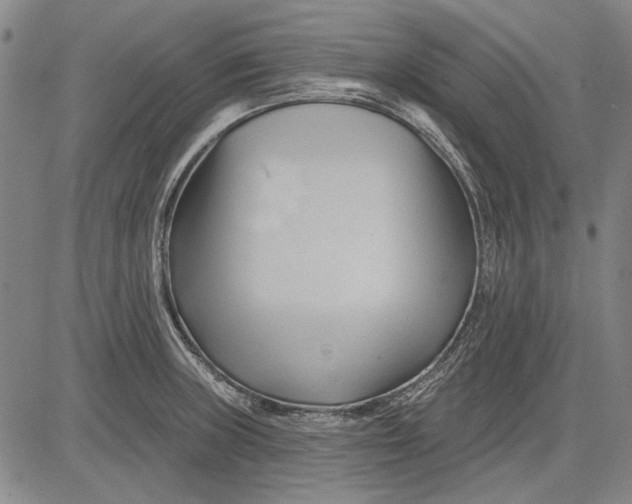 X0000083611235200703051535