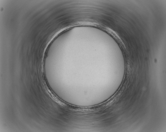 X0000083611236200703051535