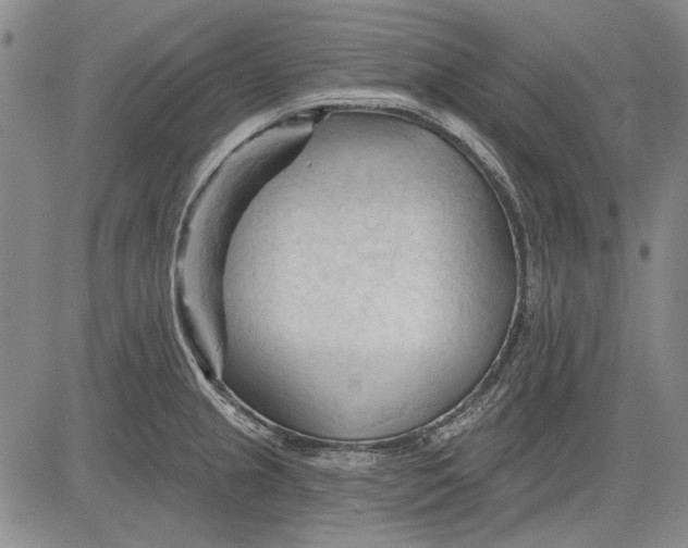 X0000083611237200703051535