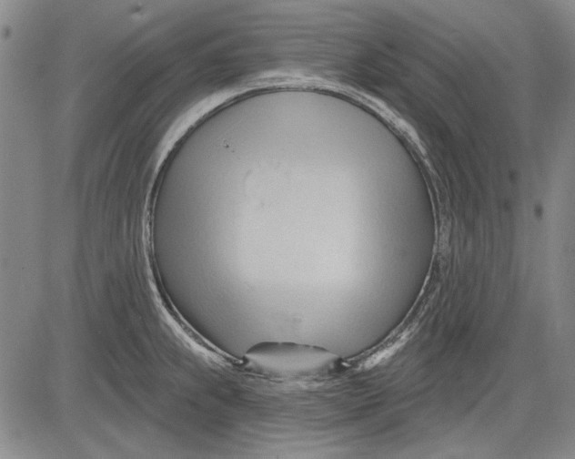 X0000083611239200703051535