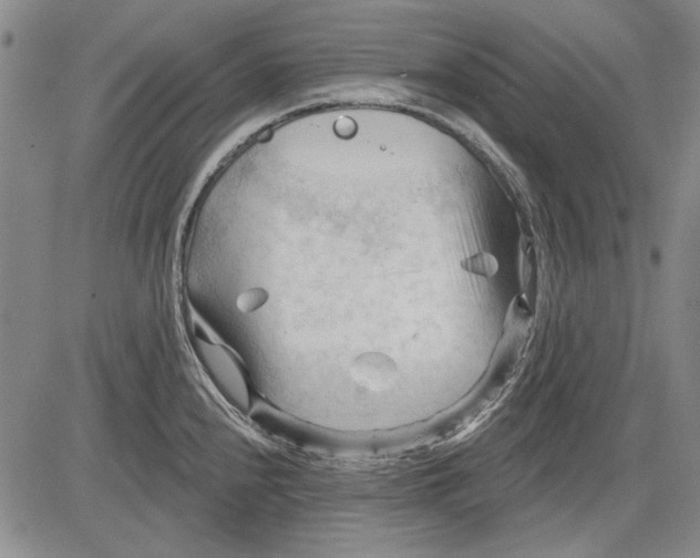 X0000083611240200703051535