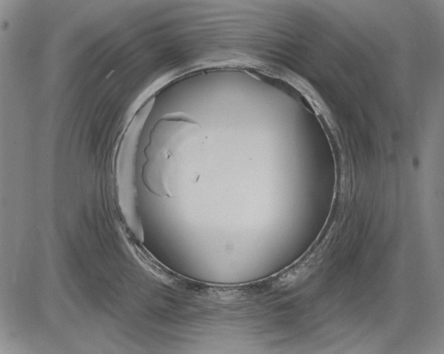 X0000083611242200703051535