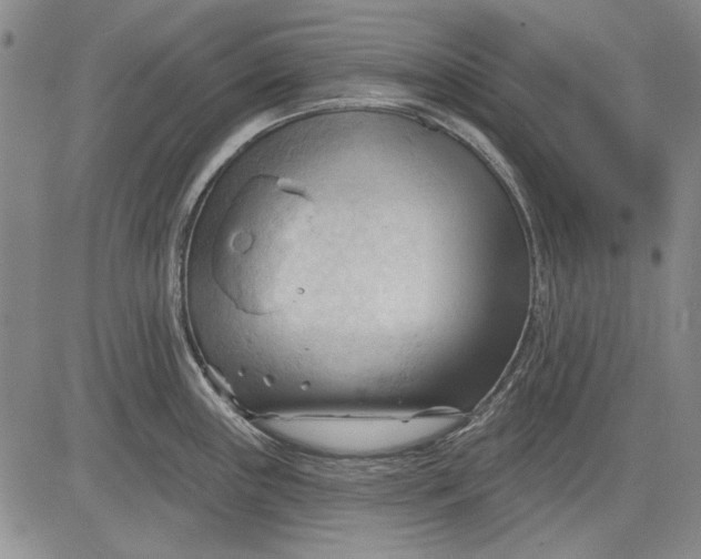 X0000083611243200703051535