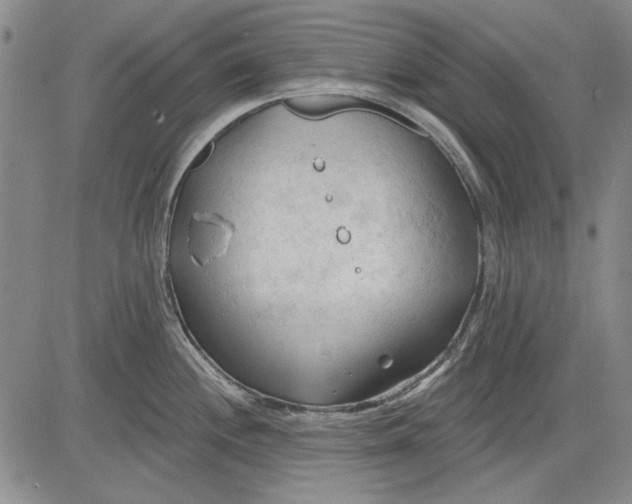 X0000083611244200703051535