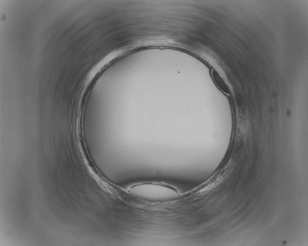 X0000083611245200703051535