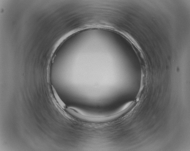 X0000083611246200703051535