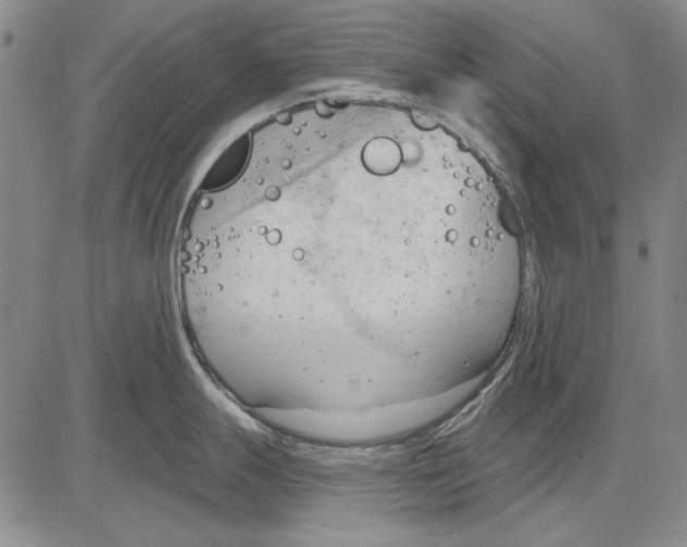 X0000083611247200703051535