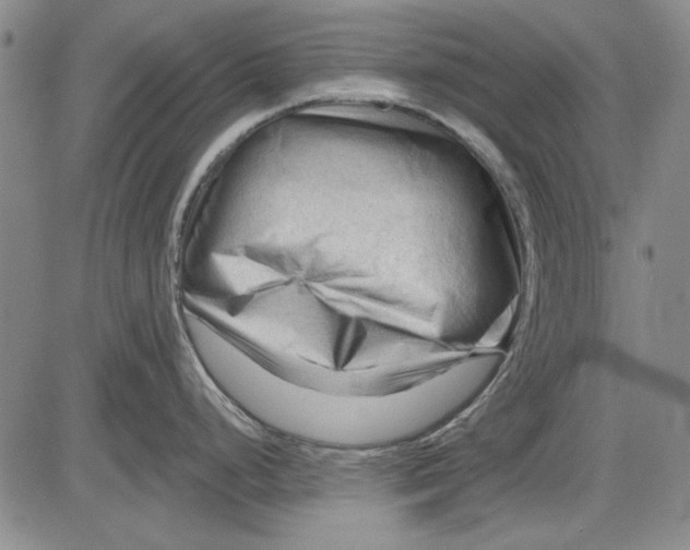 X0000083611248200703051535