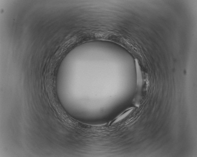 X0000083611249200703051534