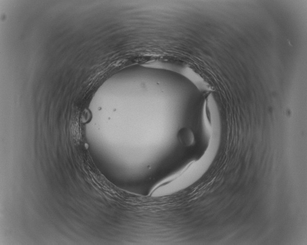 X0000083611250200703051534