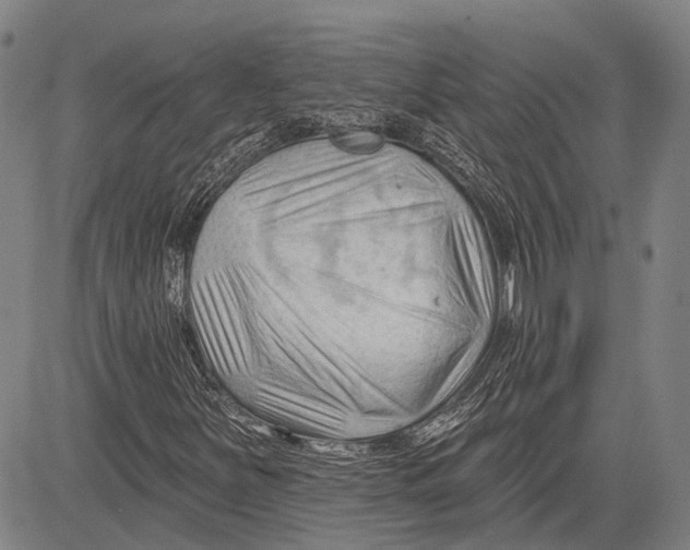 X0000083611251200703051534