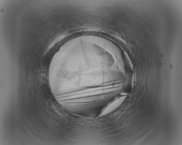 X0000083611255200703051534