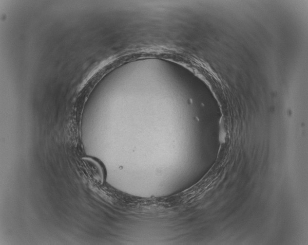 X0000083611256200703051534