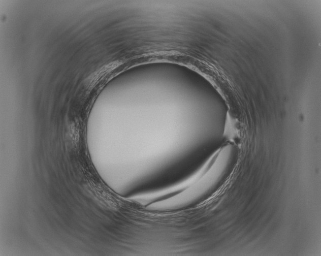 X0000083611257200703051534