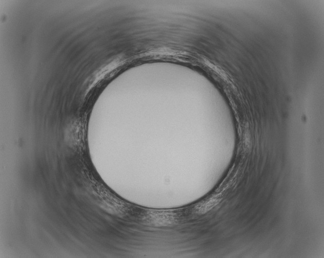 X0000083611258200703051534