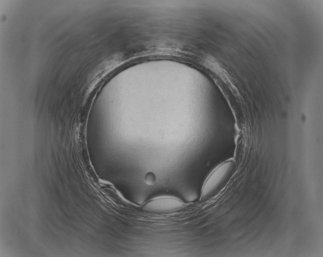 X0000083611260200703051534