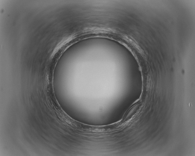 X0000083611261200703051534