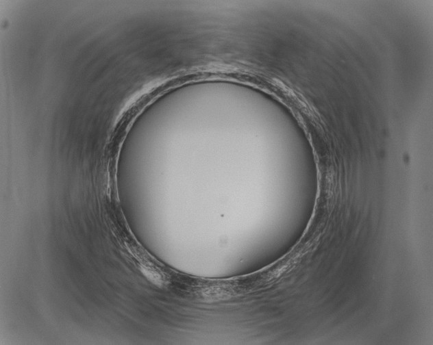 X0000083611262200703051534