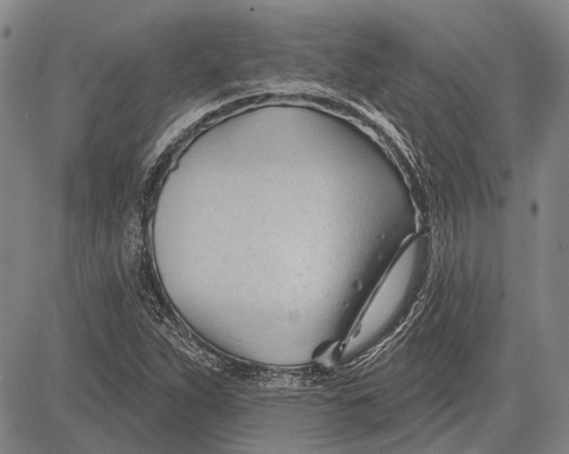 X0000083611263200703051534