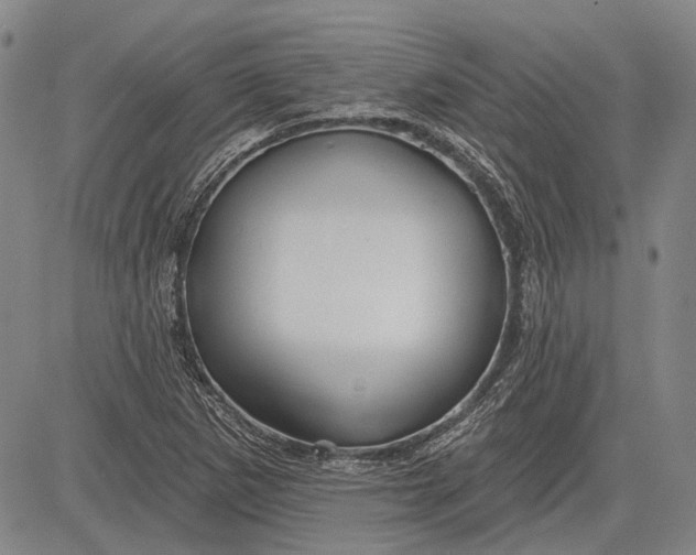 X0000083611265200703051534