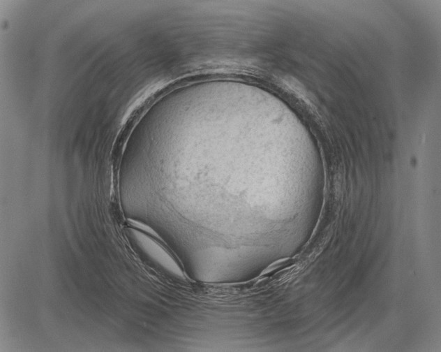 X0000083611267200703051534