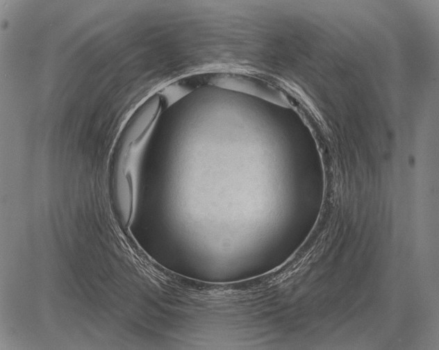 X0000083611268200703051534