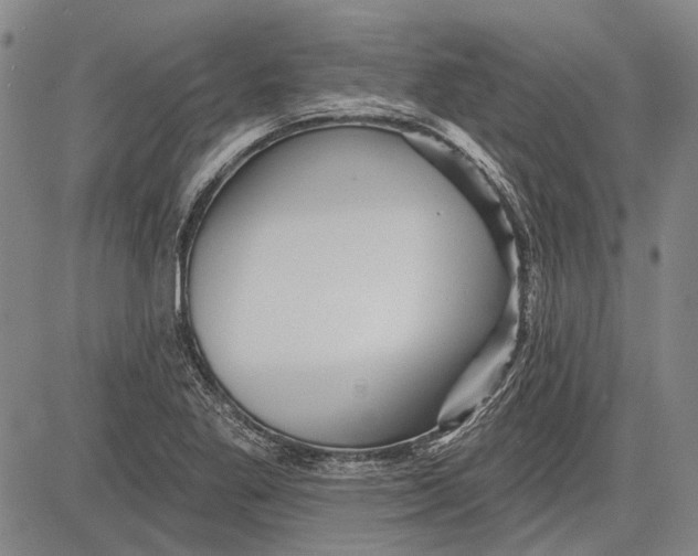 X0000083611269200703051534