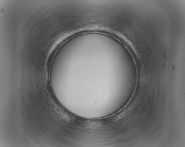 X0000083611270200703051534