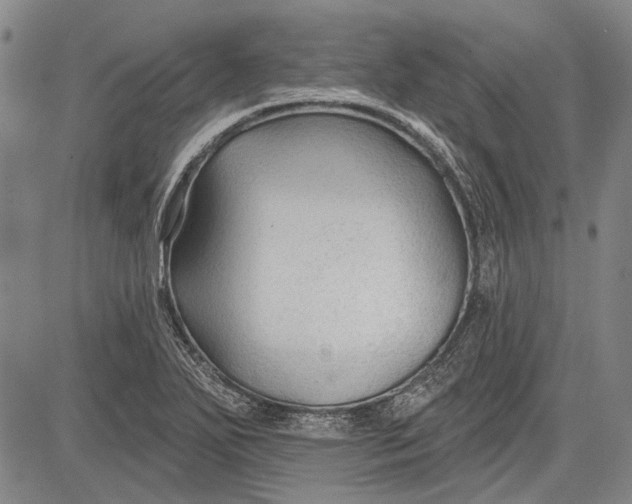 X0000083611271200703051534