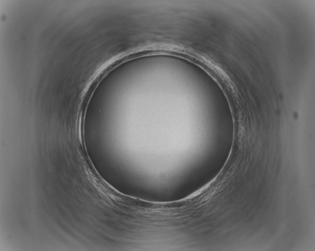 X0000083611272200703051534