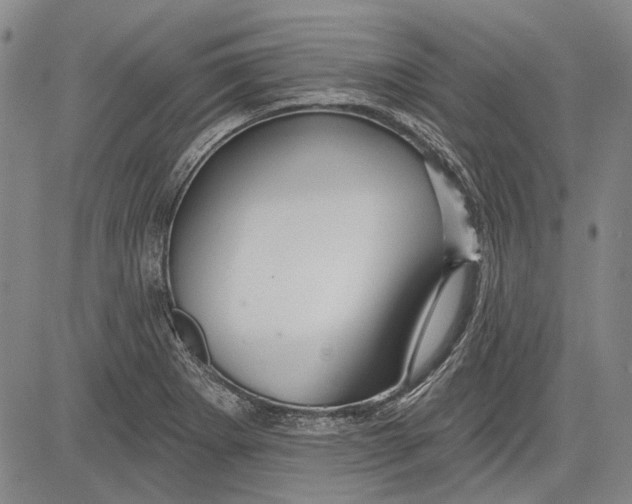 X0000083611273200703051534