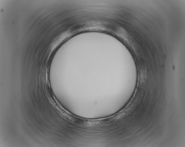 X0000083611274200703051534