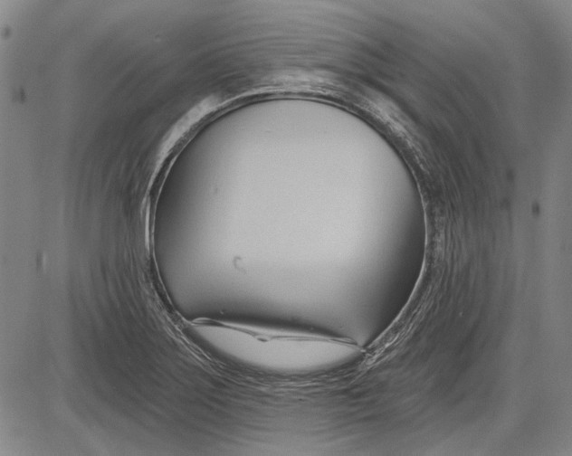 X0000083611275200703051534