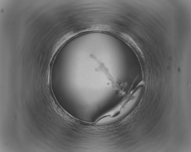 X0000083611276200703051534