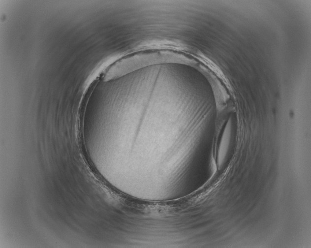 X0000083611277200703051534