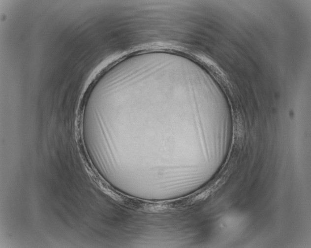 X0000083611278200703051534