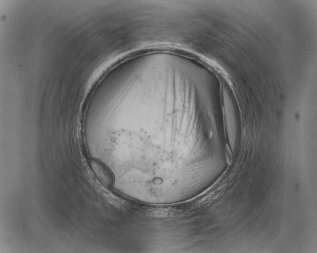 X0000083611279200703051534