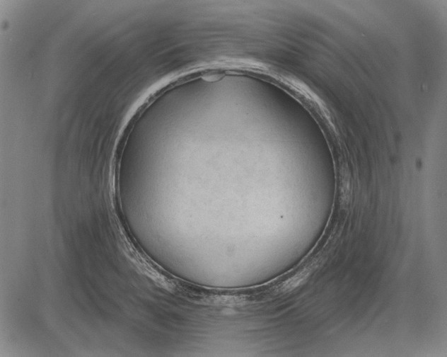 X0000083611280200703051534