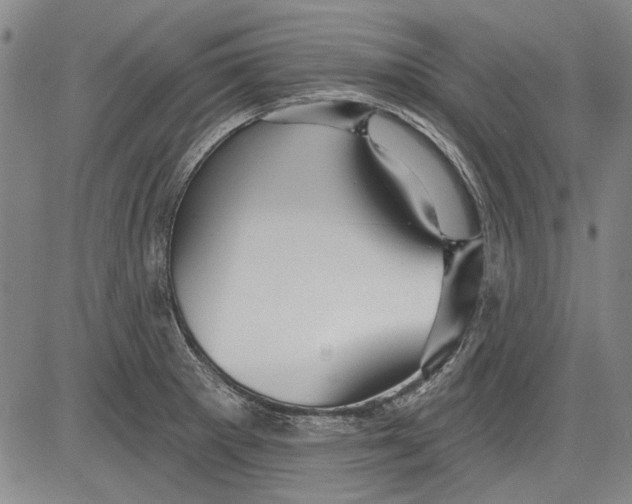 X0000083611281200703051534