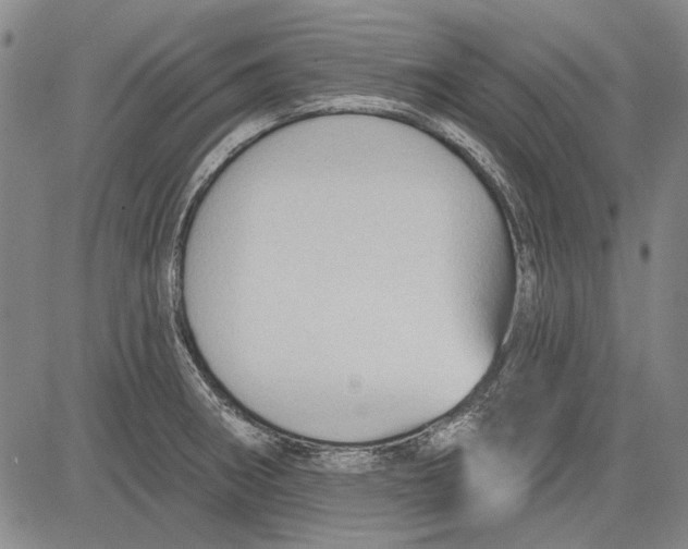 X0000083611282200703051534