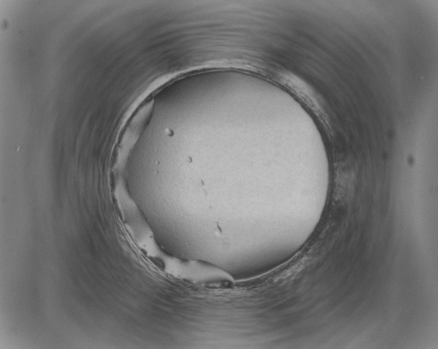 X0000083611284200703051534