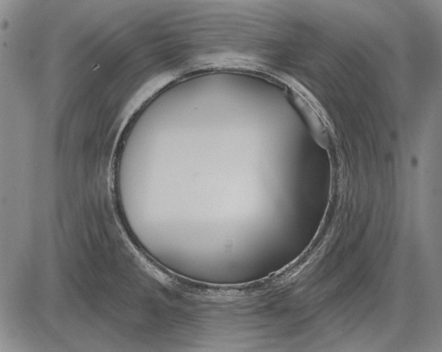 X0000083611285200703051534