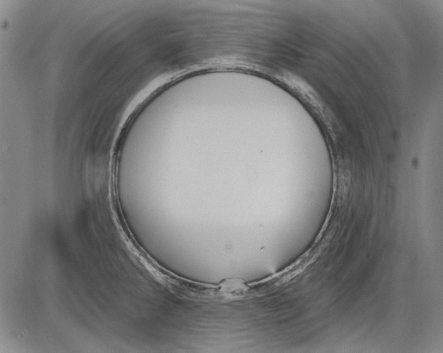 X0000083611286200703051534