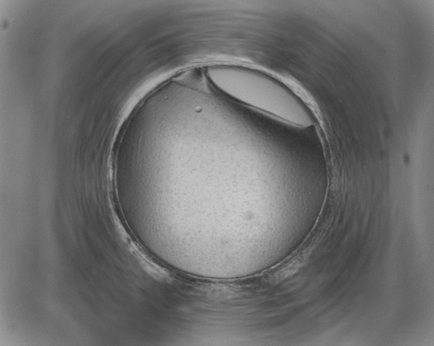 X0000083611287200703051534